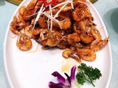 -林口邵胖子大鹅(新安街东五店)