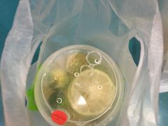 -格瑞思动物奶油生日蛋糕(圆融店)