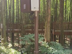 -山王坪喀斯特国家生态公园