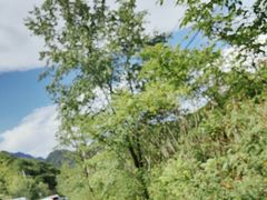 -玉渡山自然风景区