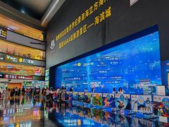 -成都浩海立方海洋公园