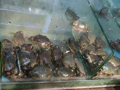 -大茄来海鲜餐厅(亚洲城分行)