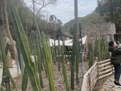 -MOJ coffee(瓯海泽雅水碓坑店)