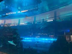 -迪拜水族馆及水下动物园