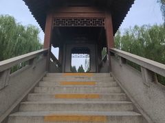 -团结湖公园
