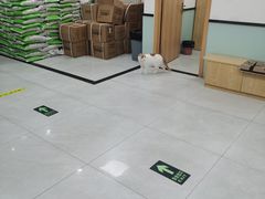 -中农大我爱我爱动物医院·核磁CT·猫病·24小时夜诊中心(石佛营店)