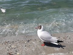-青海湖二郎剑景区