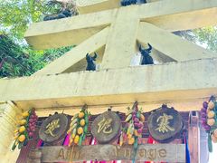 -西双版纳原始森林公园