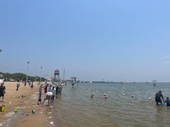 -碧海金沙