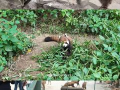 -宁波野生动物园