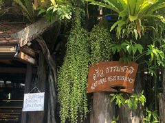 -自然餐厅(Phuket)