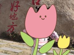 -青岛沙子口国家中心渔港