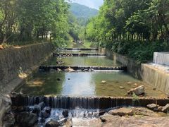 -广州白江湖森林公园