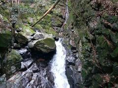 -藏龙百瀑风景区