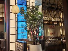 -桂满陇·海市蜃楼·黑金(国金店)