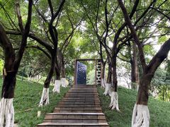 -龙头寺公园