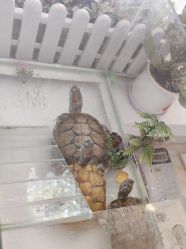 -香秀空间科技抗衰·美容中心