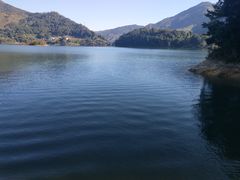 -广州市流溪河国家森林公园