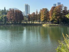 -四海公园(南山区)