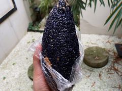 乌饭-芳婆糕团店(王府大街店)