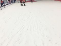 -哈尔滨热雪奇迹