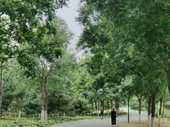 -永定河休闲森林公园