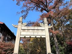 -灵谷景区