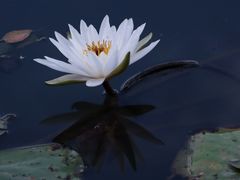 -艾溪湖湿地公园