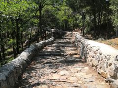 -阳台山自然风景区