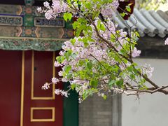 -颐和园