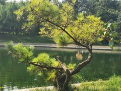 -济南南郊宾馆