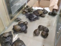 -永辉超市(大西洋银泰城店)