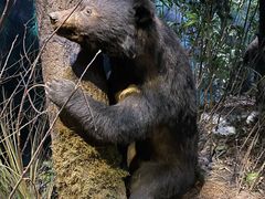 -陕西自然博物馆