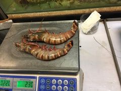 -ZF Seafood Restaurant 卓峰海鲜餐