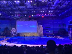 -华夏文旅海洋公园