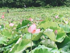 -梁鸿国家湿地公园