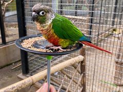 -北京野生动物园