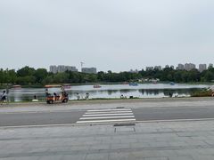 -武汉园博园(武汉自然博物馆)