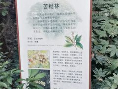 -杭州半山国家森林公园