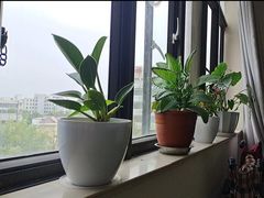 -上海爱以德护理院·康复(宝山院)