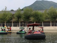 -杨家寨