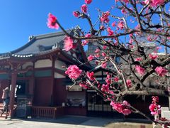 -浅草寺