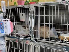 -中农大我爱我爱动物医院·核磁CT·猫病·24小时夜诊中心(石佛营店)