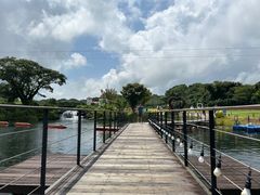 -济州森林小火车生态公园