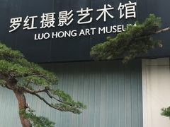-罗红摄影艺术馆