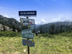 -朱雀国家森林公园