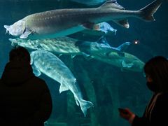 -华夏文旅海洋公园