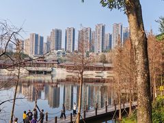 -重庆彩云湖湿地公园