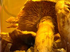 -吉林省林业宾馆-餐厅