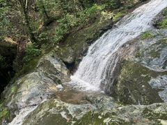 -燕子河大峡谷天坑仙境